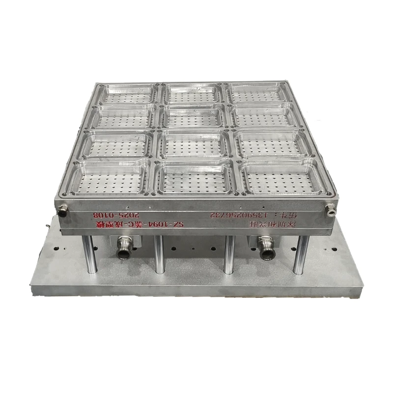 Precision Engineering Custom Blister Vacuum Thermoforming Mold for Food Packaging