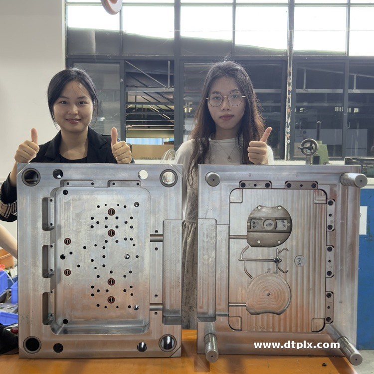 Custom Injection Molds, Precision Mold Design, Plastic Mold Injection Molding Manufacturer.