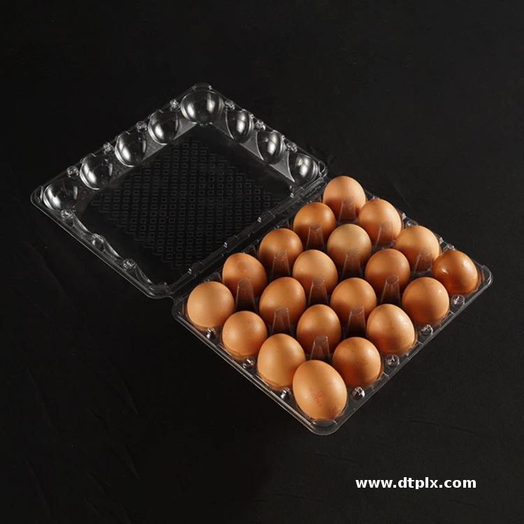 Custom Transparent Disposable PET Eggs Tray Plastic Blister Box Egg Plastic Container for 6 8 10 12 15 20 25 30 Holes