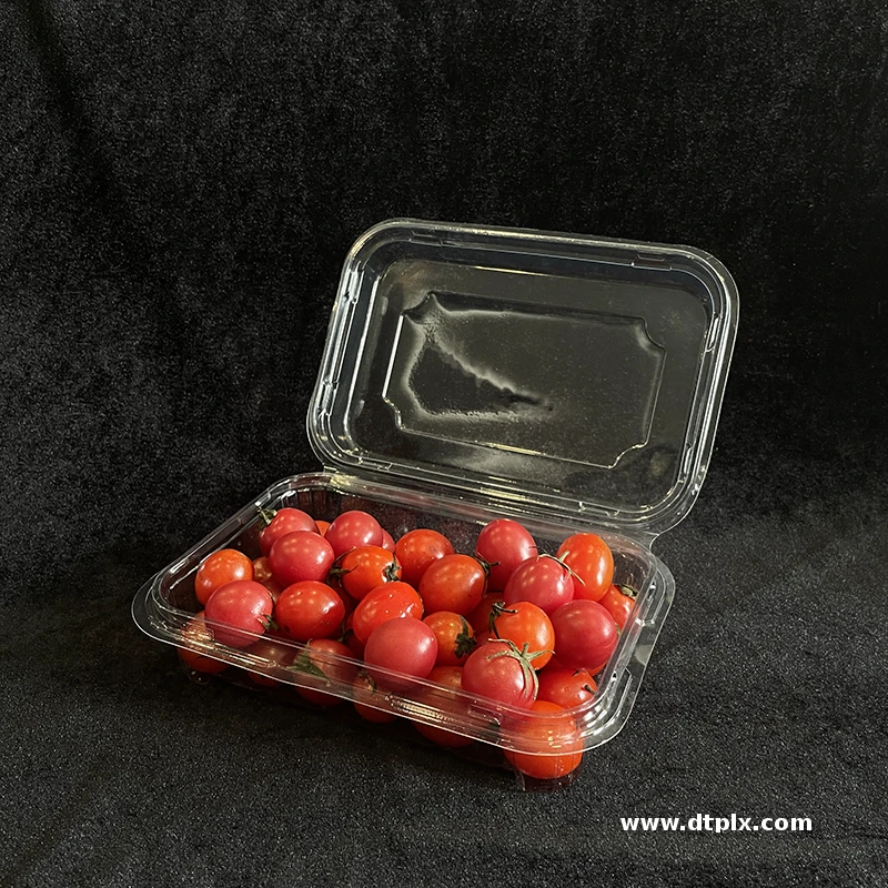 Custom Disposable Transparent Fruit Box Fresh Fruit Blister Clamshell Packaging Container PET Plastic Blueberry Box