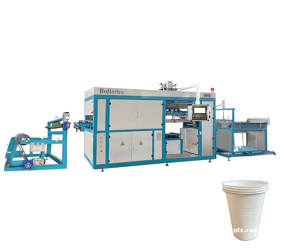 Disposable Plastic PP Supermarket Fresh Food Box Container Making Automatic Thermoforming Machine Blister Molding Equipment