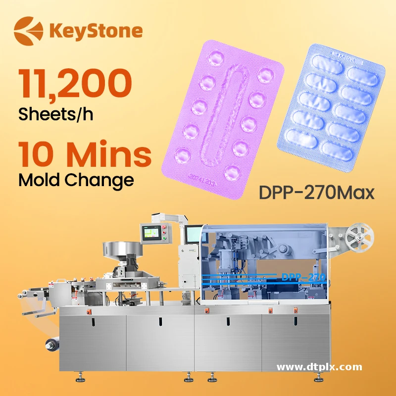 DPP 270max 10 Mins Mold Change Automatic Capsule Blister Molding Machine Tablet Packing Machine for Capsules