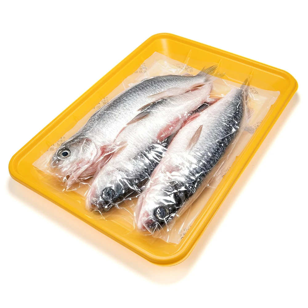 Customize Food Grade Disposable PP Tray with Blister Process for Meat Packaging Fresh Frozen Food Microwaved Use
