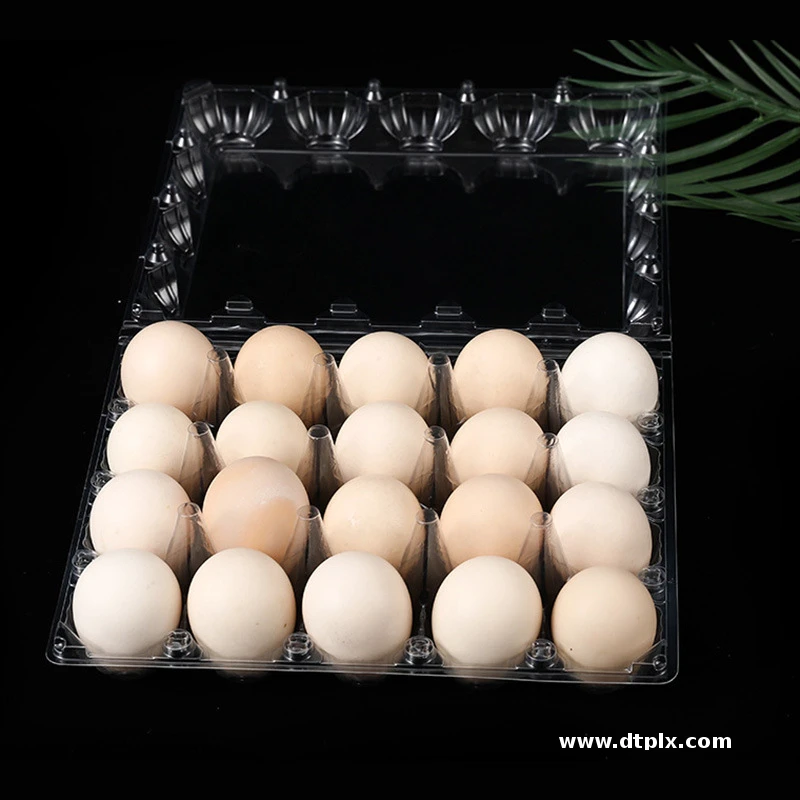 XINFENG Wholesale Cheap Price Disposable Plastic Egg Trays with 30 Holes Blister Process Type