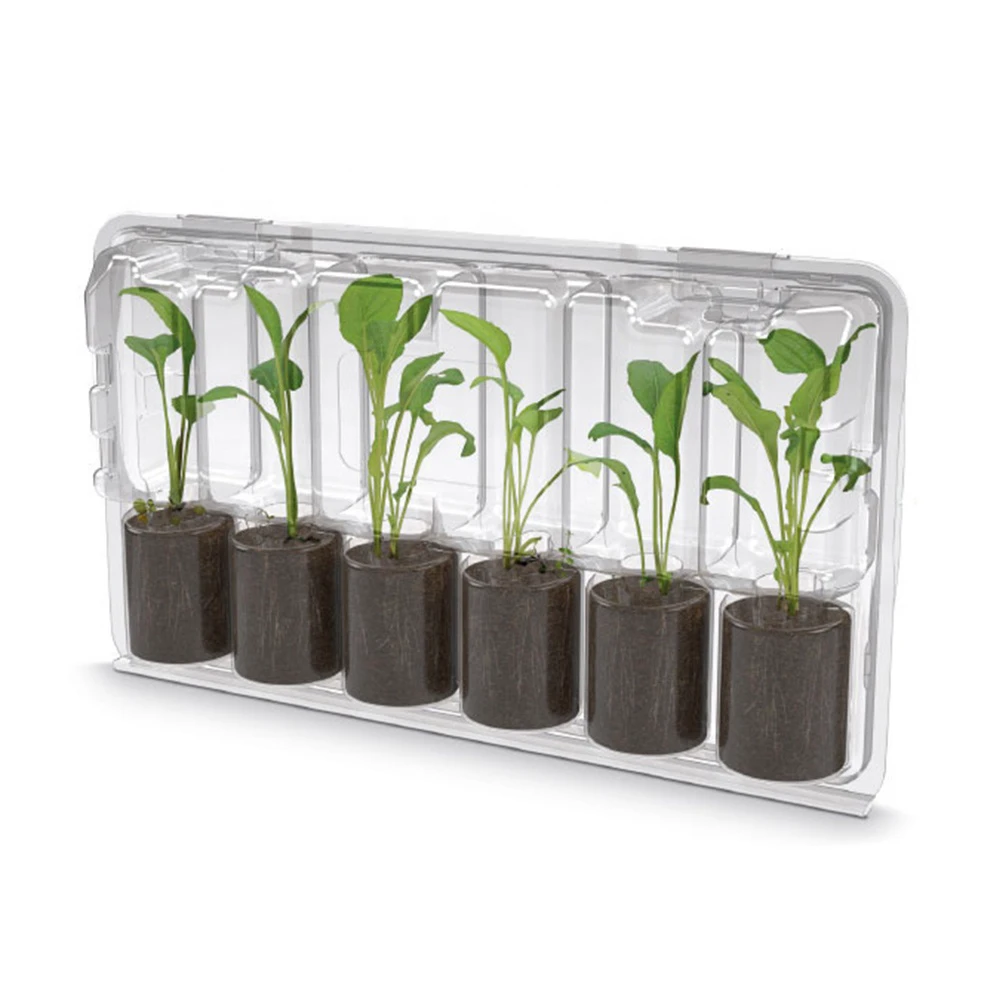 Customized Plastic Clamshell Blister Packaging for Plants