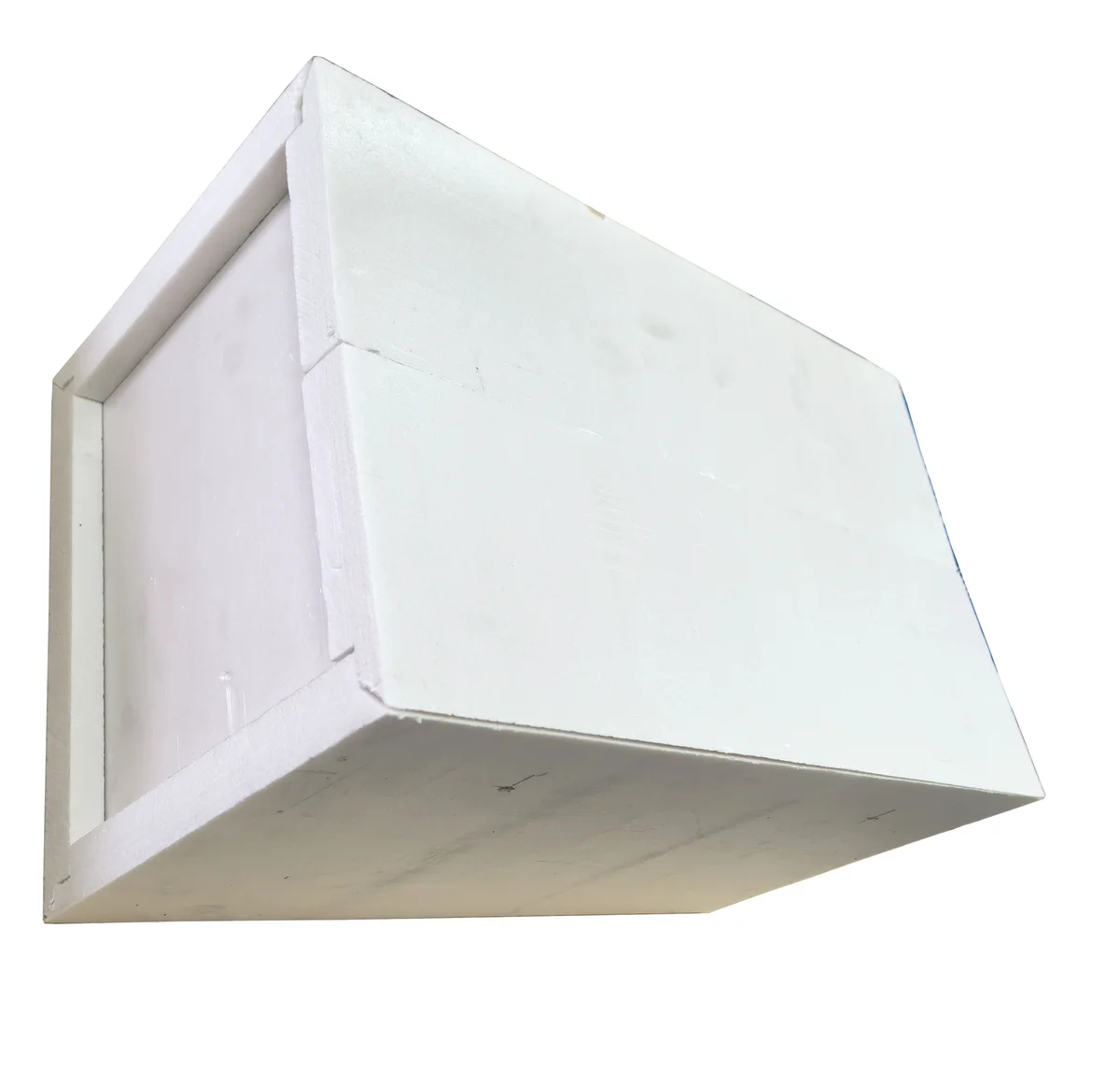 Customized Packaging Foam Manufacturer/fresh Products Packing Foam for Protecting