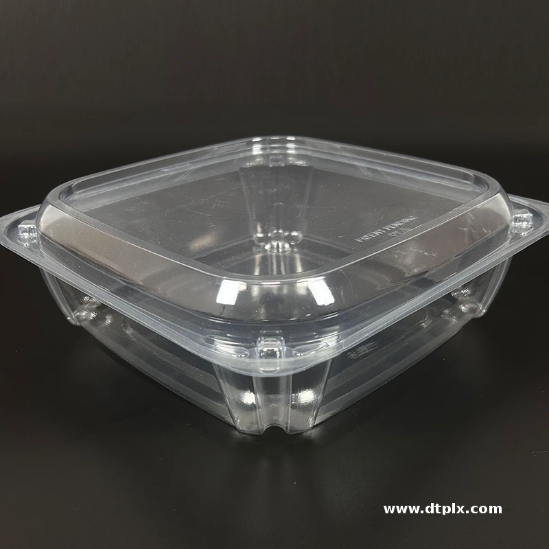 Hot Selling Food Grade Bakery Plastic Packaging for Bread Desserts Disposable Custom Blister Chocolate Clamshell PET OEM/ODM