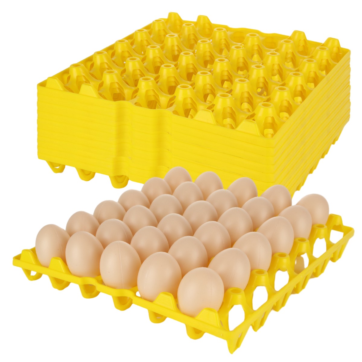 Reusable Blister Plastic Egg Tray Manufacturer Durable PP Stackable Egg Crate Sorting Shipping Poultry Farm Factory Direct