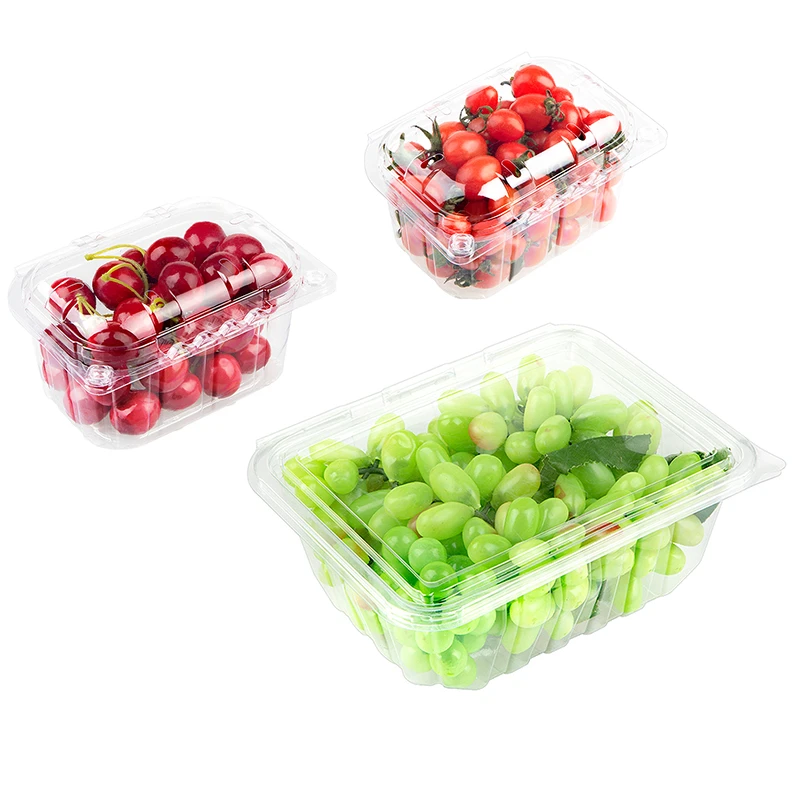 Factory Direct Custom Grape Cherry Tomato Clamshell Blister Container Berry Fruits Packaging Tray Recyclable PET Box Wholesale