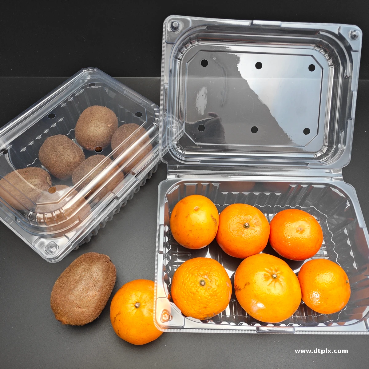 Factory Supplied Custom Disposable clear PET Blister Transparent Plastic Food Tray