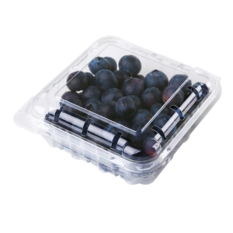 Wholesale Custom High Quality Blueberry Clamshell Blister Packaging Food Grade PET ISO9001 Certified